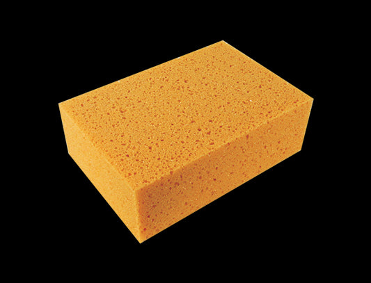 Spugna Lavaggio Auto 18x12x6cm